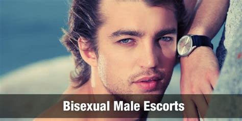 male escort moncton|Moncton Male Escorts: Find Straight, Bi or Gay Male Escorts!